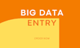 help with big data entry assignments