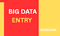 do big data entry projects and tasks
