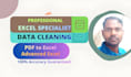 clean, format, and organize excel data professionally