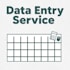accurate manual data entry and typing work