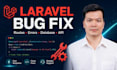 fix laravel bugs, errors, routes and database issues