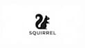 design outstanding squirrel mascot logo in one day