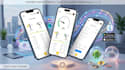 do professional flutter mobile development