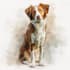 watercolor draw watercolor pet portrait