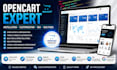 install, customize and optimize your opencart store