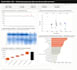 analyze sales data and deliver actionable insights
