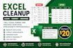 clean, format and organize excel spreadsheets
