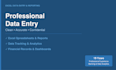 professional excel data entry and reporting