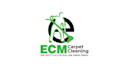 design spotless carpet cleaning fresh wash logo