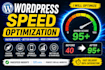 optimize wordpress speed and improve core web vitals