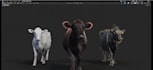 create 3d animal model, animal animation, 3d creature, cgi animation