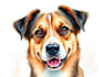 draw pet portrait illustration watercolor style