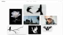 build a custom ecommerce store for your clothing brand
