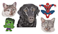 do embroidery digitizing into dst,pes emb in 1 hour