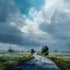 fantasy landscape and environment illustration