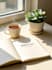 write engaging wellness blog posts and articles