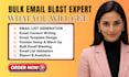 send bulk emails blast cold email campaign send email marketing bulk email blast