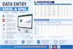 provide kobotoolbox, excel and spss data support