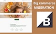 transfer domain migrate 301  redirect  seo website  product to big commerce