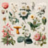 do botanical vector illustrations flowers and nature art