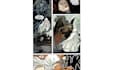 horror comic book illustrations, graphic novel pages, comic strip gore comic art