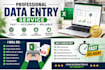data entry, excel data management