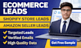 provide targeted amazon seller leads and ecommerce leads