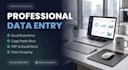 be your technical data entry specialist and excel data analyst