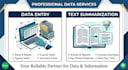 do professional data entry and text summarization
