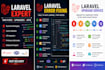 debug, fix bugs, upgrade and optimize your laravel PHP project