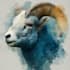 illustrate unique and stylized animal illustrations