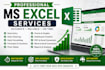 do professional microsoft excel data entry,