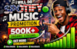 do professional spotify music promotion spotify promotion