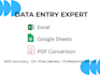 provide accurate data entry excel and spreadsheet tasks
