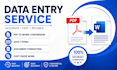 do data entry, data typing and document formatting