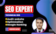 do a complete website audit, SEO audit and google ads audit
