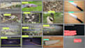 build computer vision and yolo object detection projects