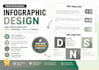 design professional infographic, data visualization