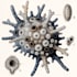 create draw a scientific illustration