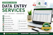 do data entry, web research, copy paste and excel tasks