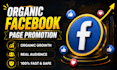 do organic facebook page promotion