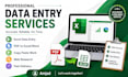 data entry, excel data entry