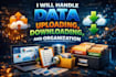 upload, download and organize your files professionally