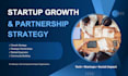 provide professional business consulting services