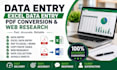do accurate data entry, excel data entry and PDF conversion