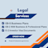 create eb5 business plan, e2 visa legal documents and eb2niw professional plan