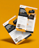 design professional dl flyer and brochure