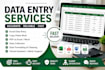 excel data entry, payroll processing, data management