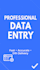 excel data input service
