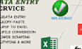 expert excel data entry